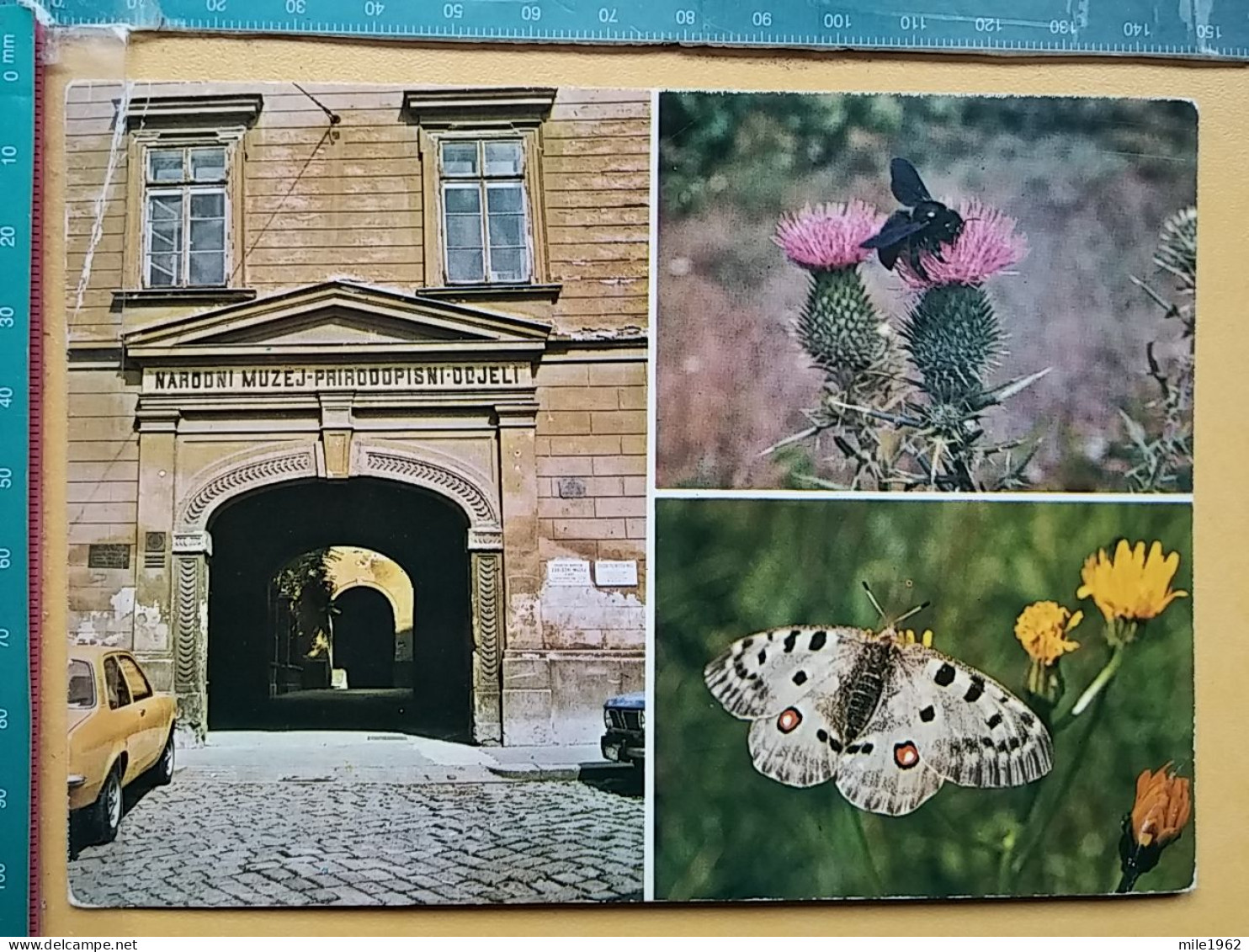 KOV 506-51 - BUTTERFLY, PAPILLON, MUSEUM, MUSEE, ZAGREB, BEE, ABEILLE - Schmetterlinge