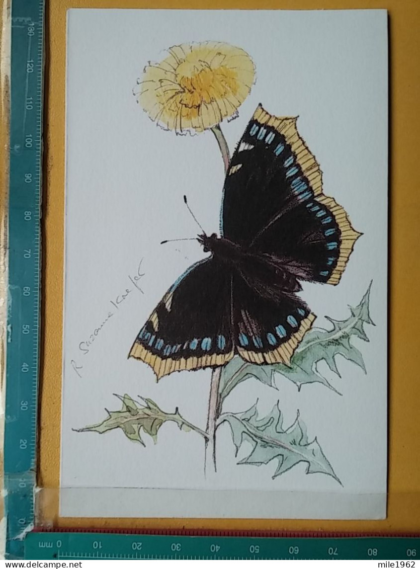 KOV 506-51 - BUTTERFLY, PAPILLON - Butterflies