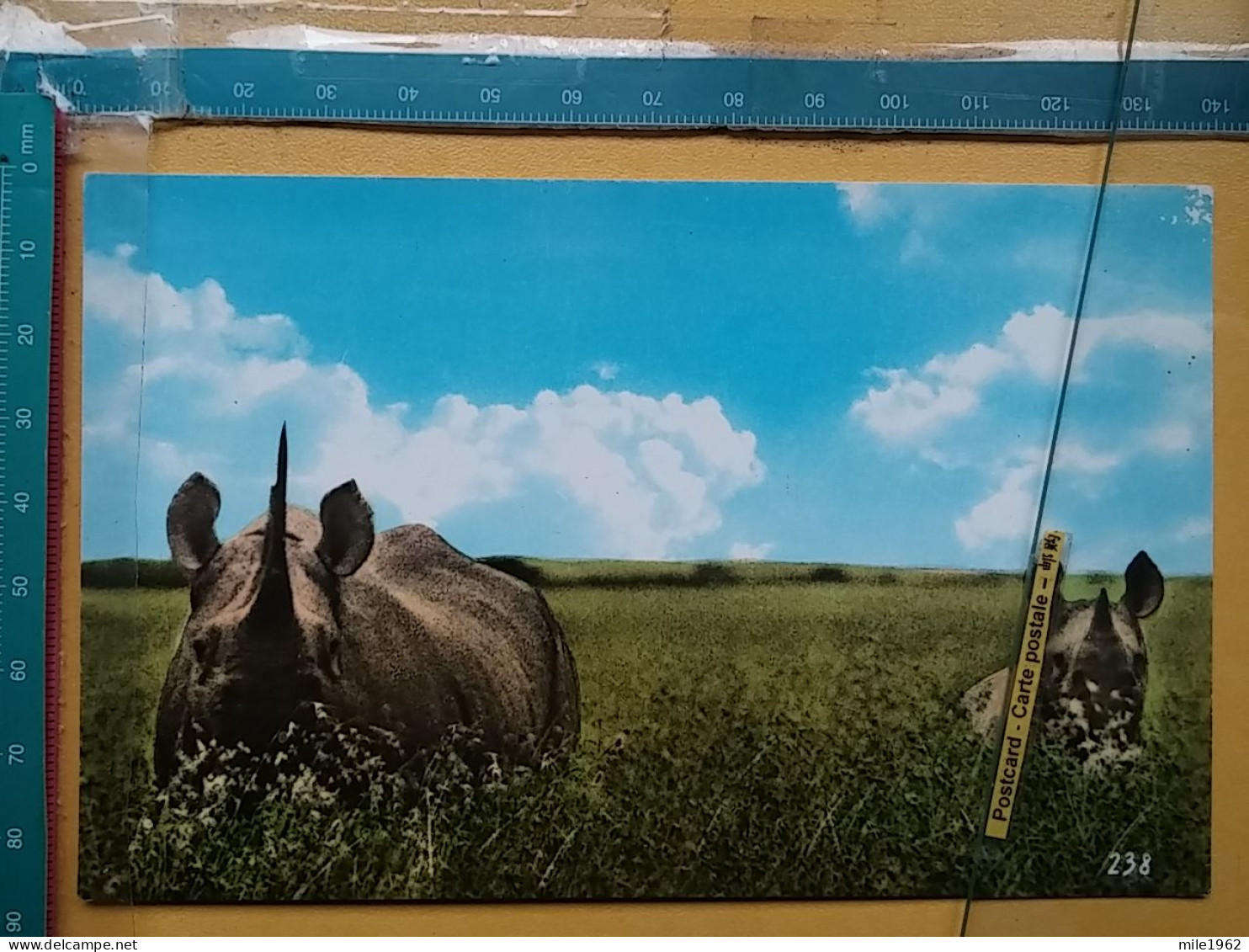 KOV 506-48 - RHINOCEROS, RHINO, AFRICA - Rhinozeros