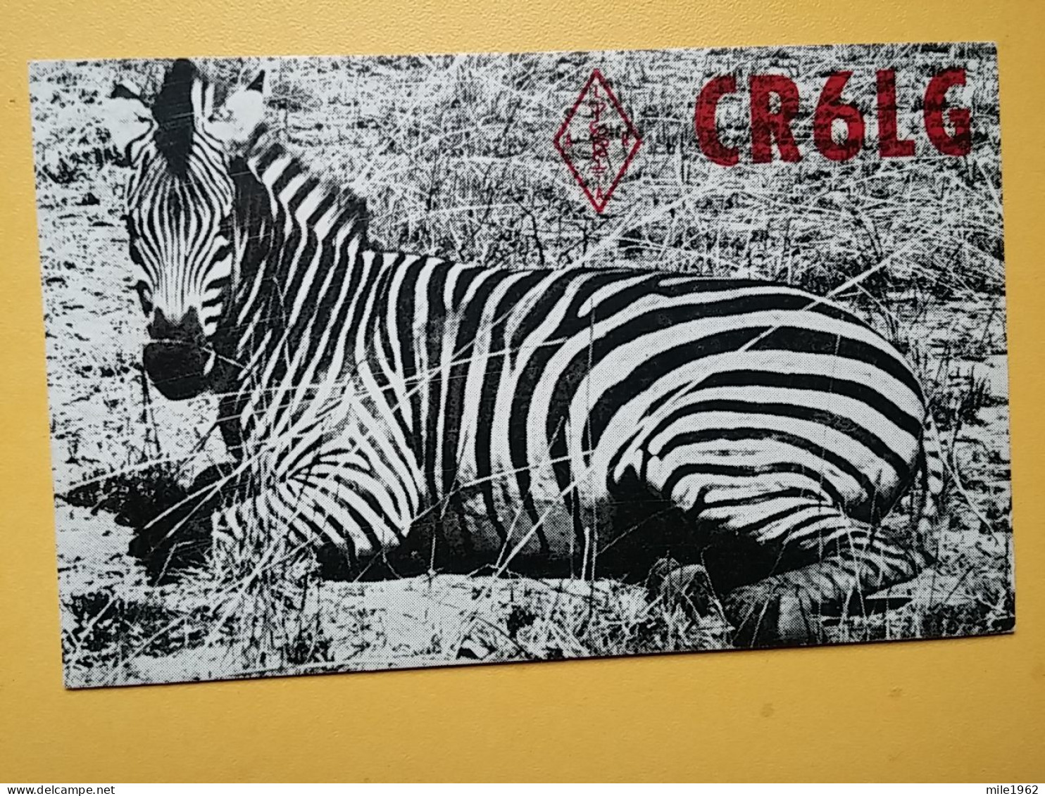 KOV 506-48 - ZEBRA, LUANDA RADIO AMATEUR - Zebras