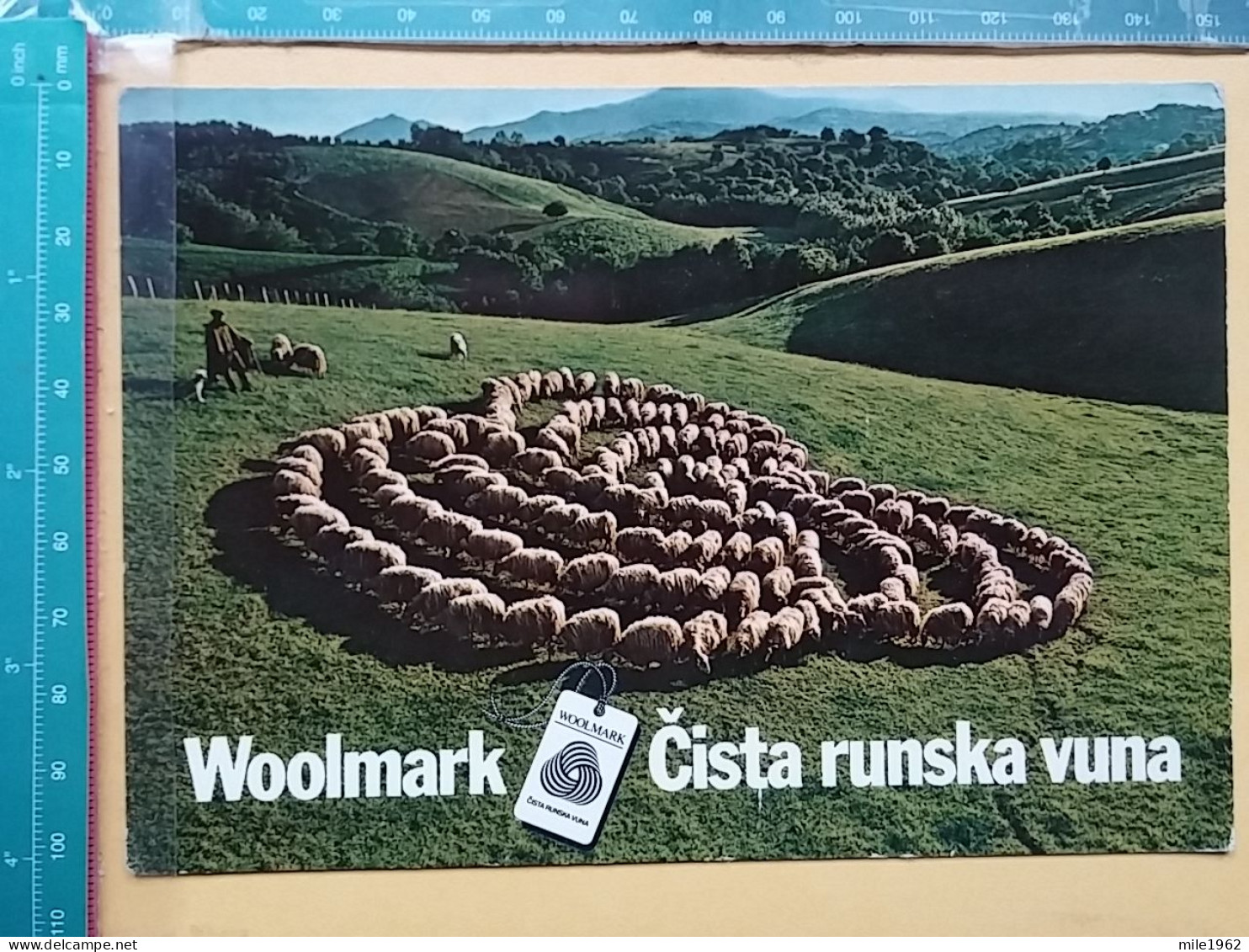 KOV 506-50 - SHEEP, MOUTON, WOOLMARK - Sonstige & Ohne Zuordnung