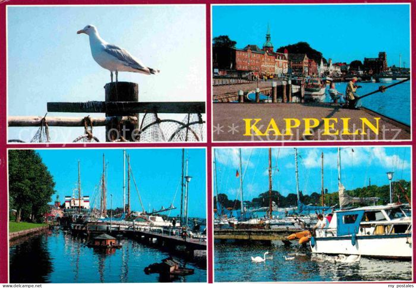 72665990 Kappeln Schlei Moewe Hafenpartien Kappeln - Kappeln / Schlei