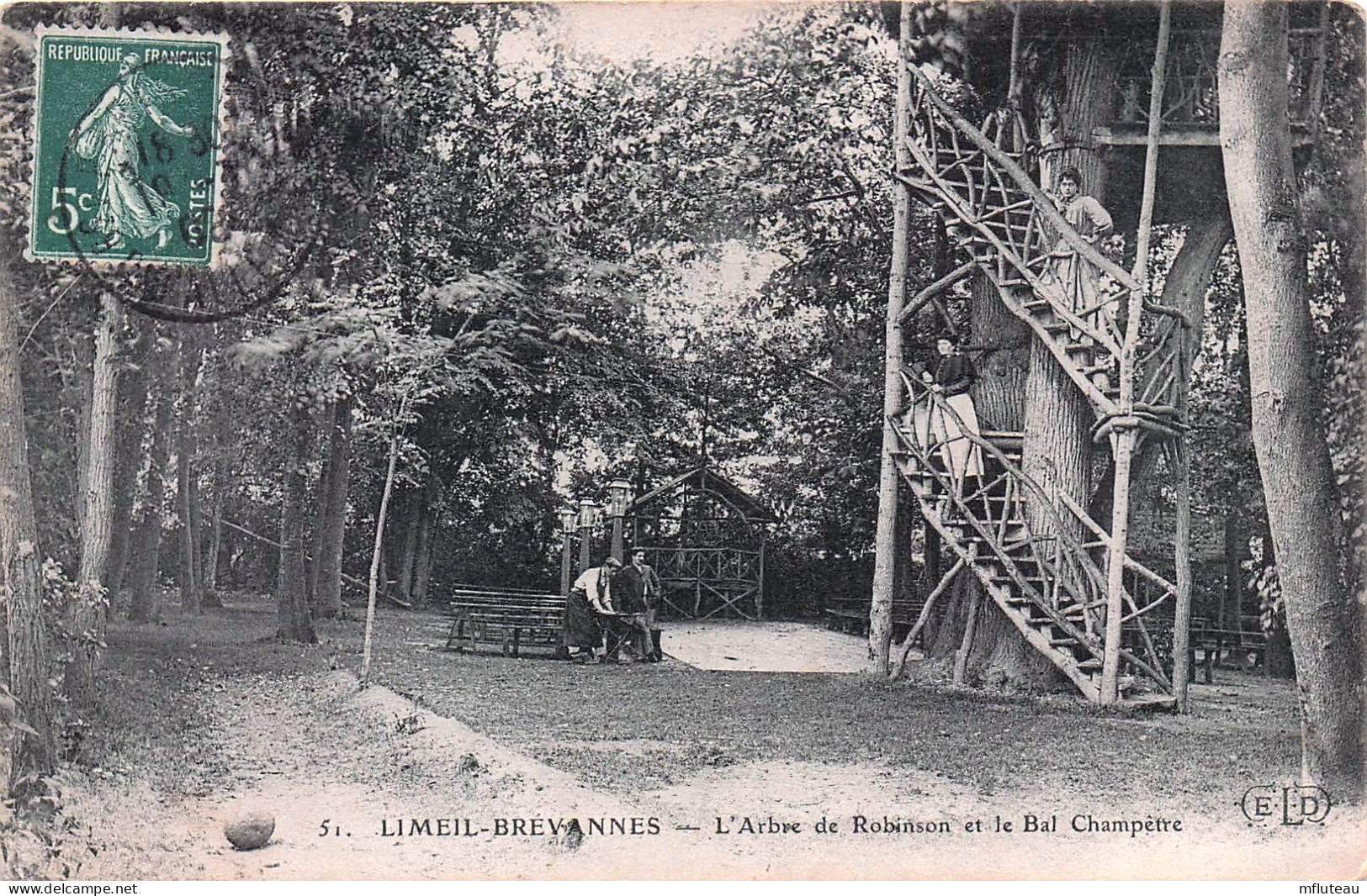 94* LIMEIL  BREVANNES   Arbre De Robinson     RL45,1434 - Limeil Brevannes