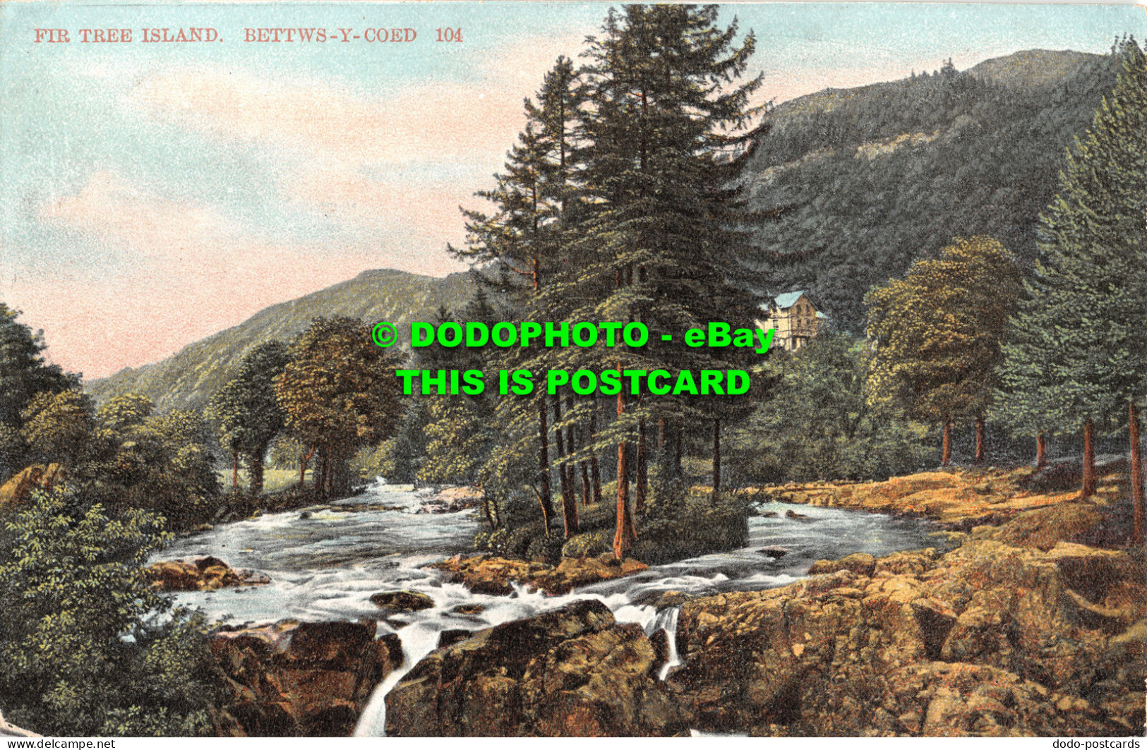 R467054 Bettws Y Coed. Fir Tree Island. Postcard - Monde