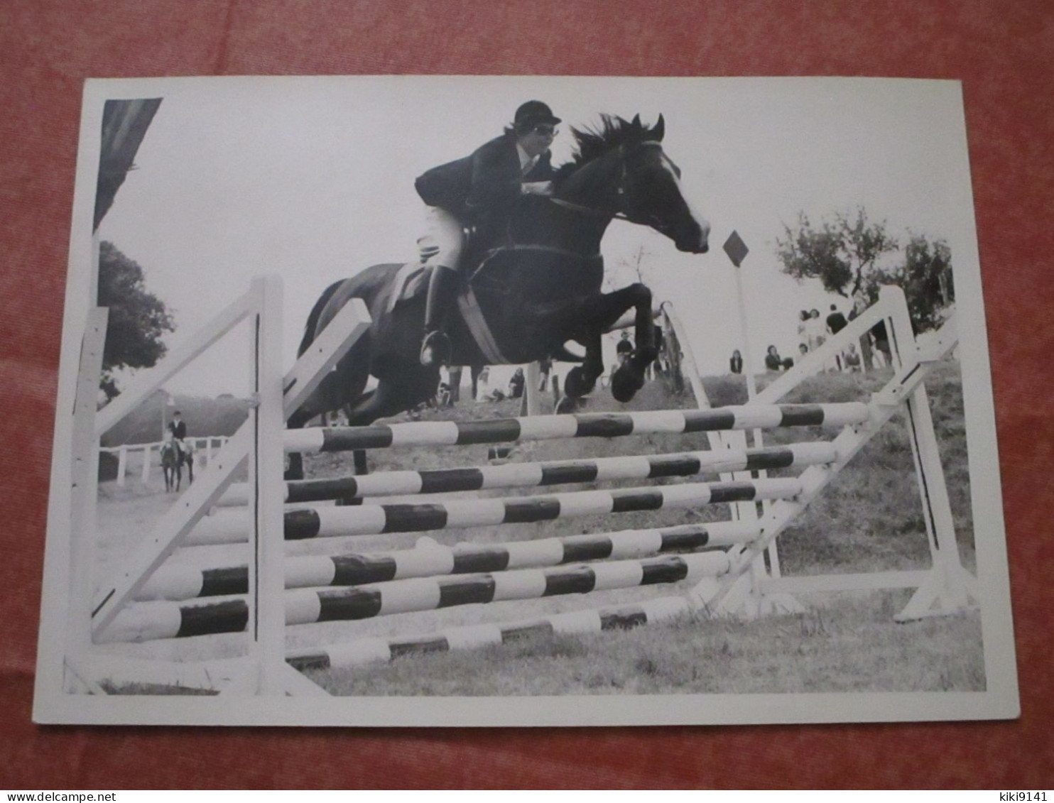 Concours Hippique De St-Aubin - Saut D'obstacle - Equitation