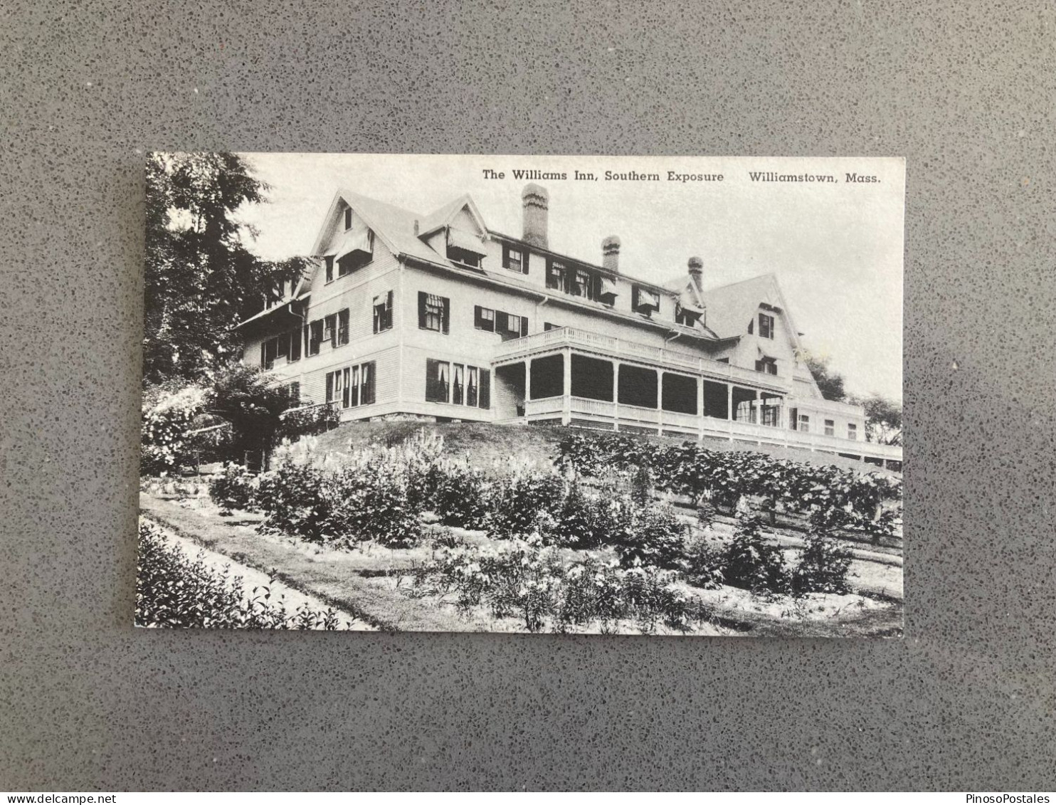 The Williams Inn, Southern Exposure, Williamstown Massachusetts Carte Postale Postcard - Other & Unclassified