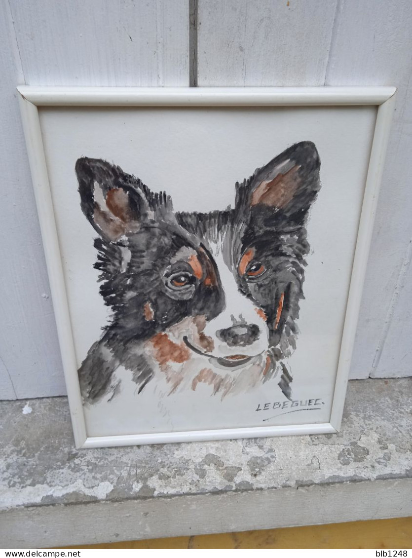 Art & Antiquités > Tableaux > Aquarelles  Le Border Colley Aquarelle  Originale De B.Le Beguec Chien - Wasserfarben