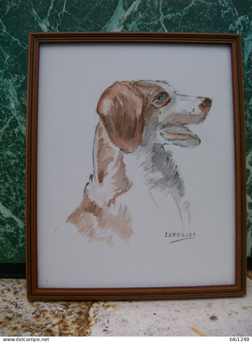 Art & Antiquités > Tableaux > Aquarelles Epagneul Breton  Aquarelle  Originale De B.Le Beguec Chien - Watercolours