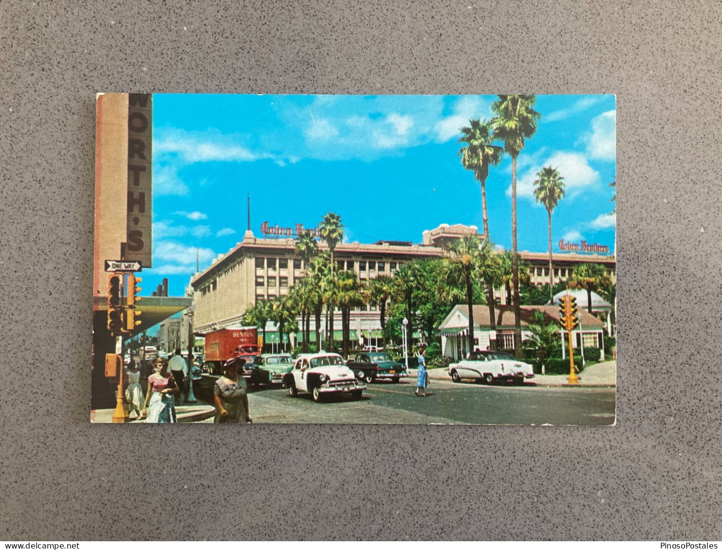 Overlooking Beautiful Hemming Park In The Heart Of Jacksonville, Florida Carte Postale Postcard - Jacksonville