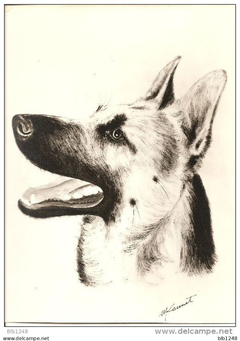 Art & Antiquités > Tableaux > Berger Allemand - Aquarelle Originale   De M. Launet?? - Chien - Wasserfarben