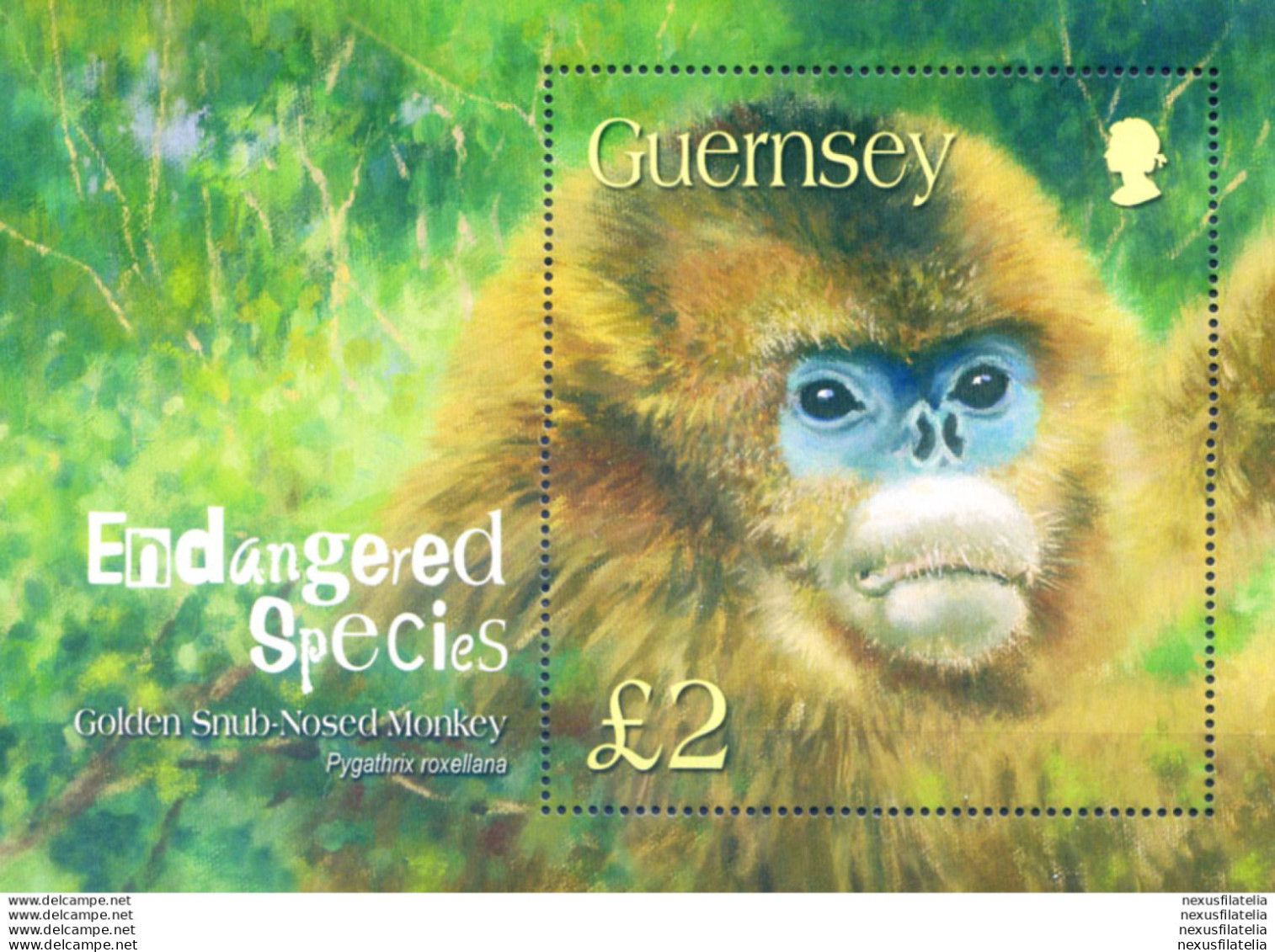 Fauna In Pericolo 2004. Scimmia. - Guernsey