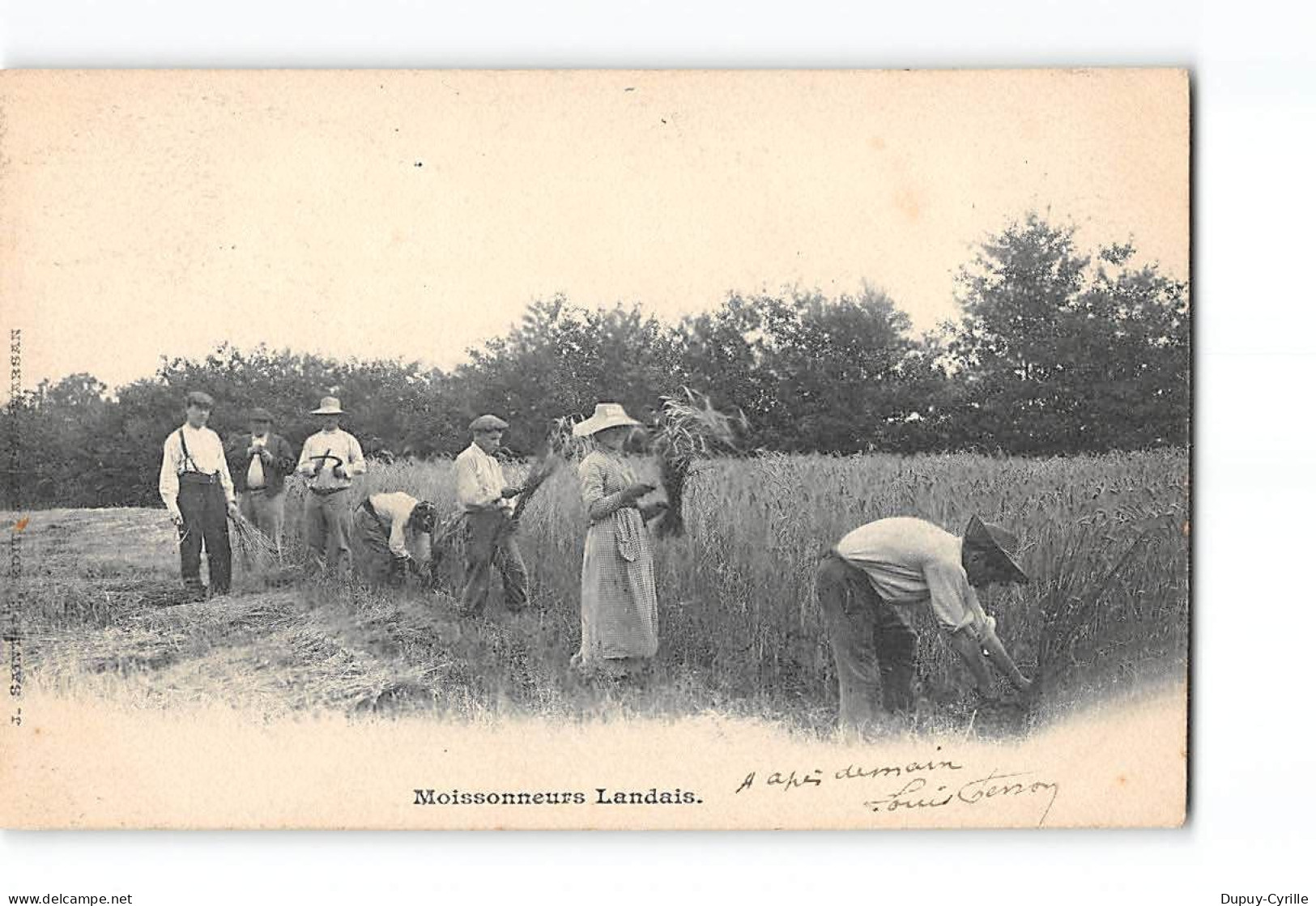 Moissonneurs Landais - Très Bon état - Sonstige & Ohne Zuordnung