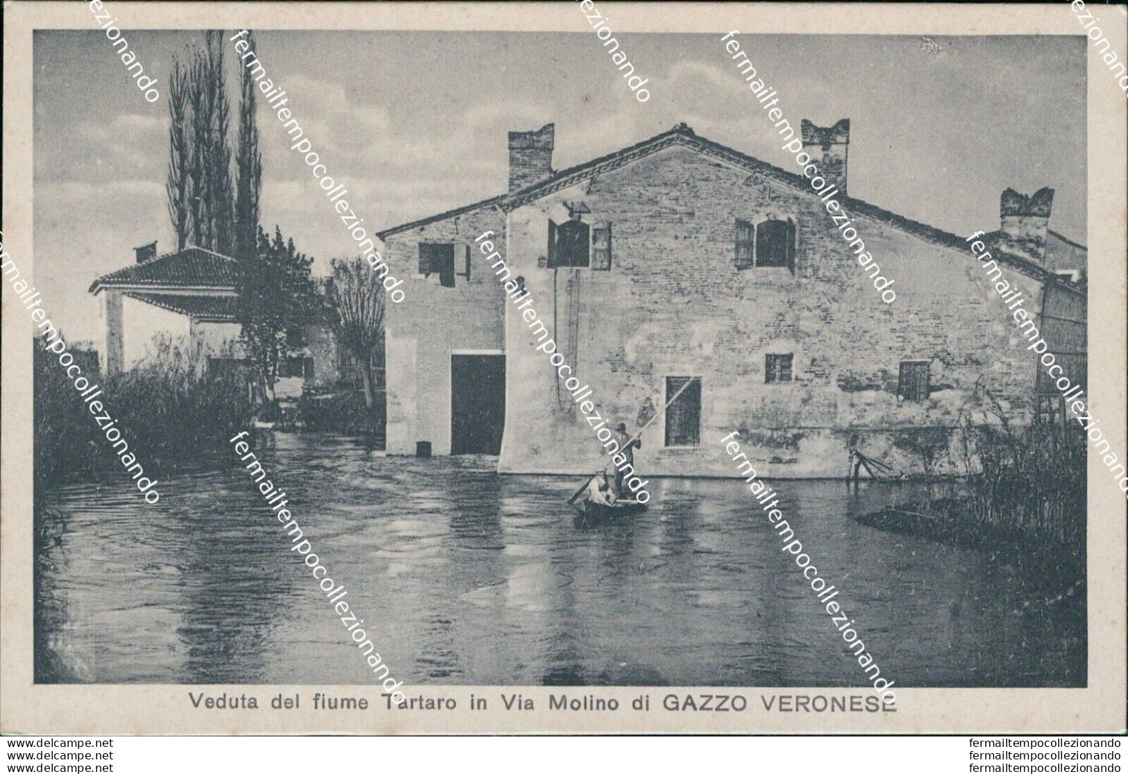 Bt130 Cartolina Veduta Del Fiume Tartaro In Via Molino Di Gazzo Veronese Verona - Verona