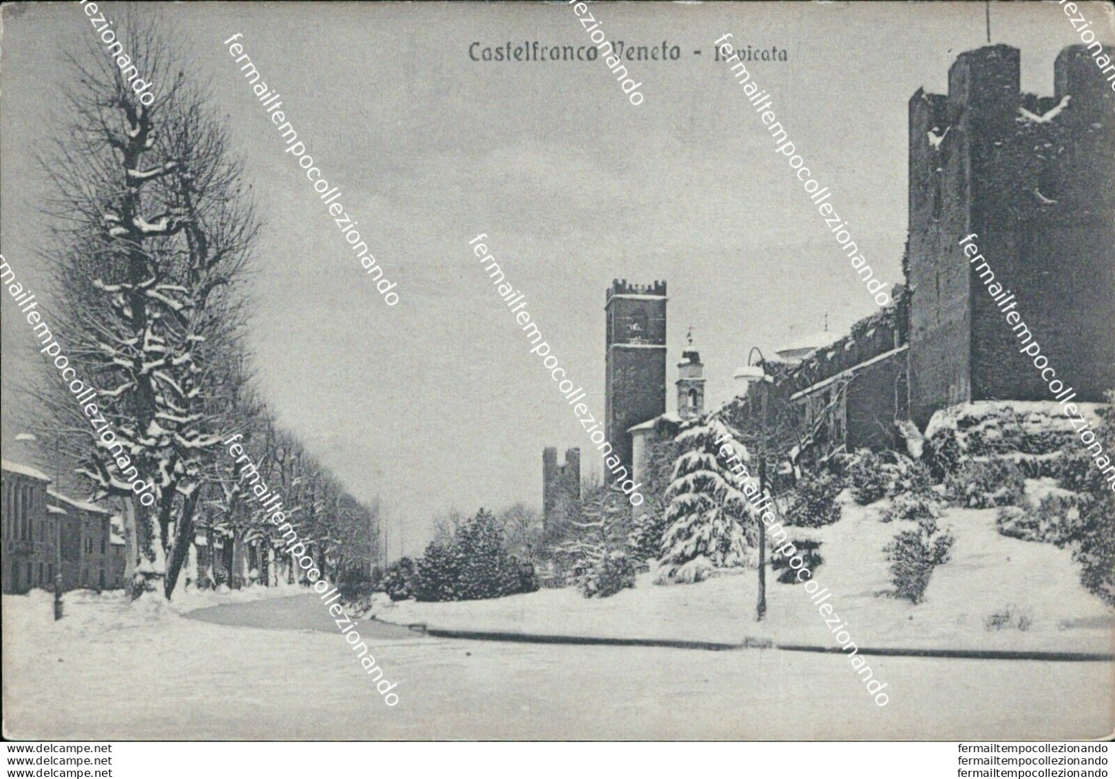 Bl350 Cartolina Castelfranco Veneto Nevicata Provincia Di Treviso - Treviso