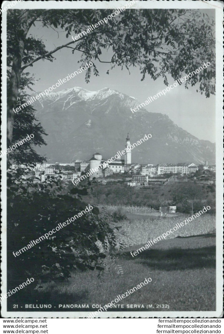 Bu126 Cartolina Belluno Citta' Panorama Col Monte Serva 1939 Veneto - Belluno