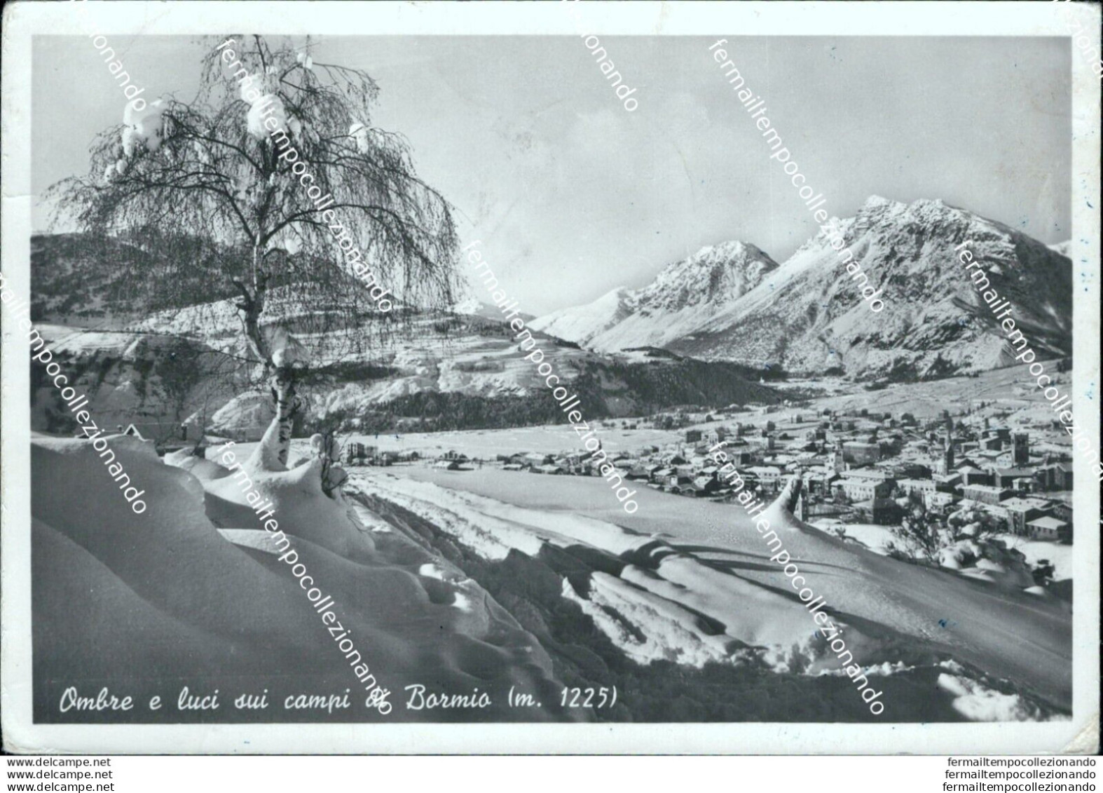 Br177 Cartolina Ombre E Luci Sui Campi Di Bormio Provincia Di Sondrio Lombardia - Sondrio