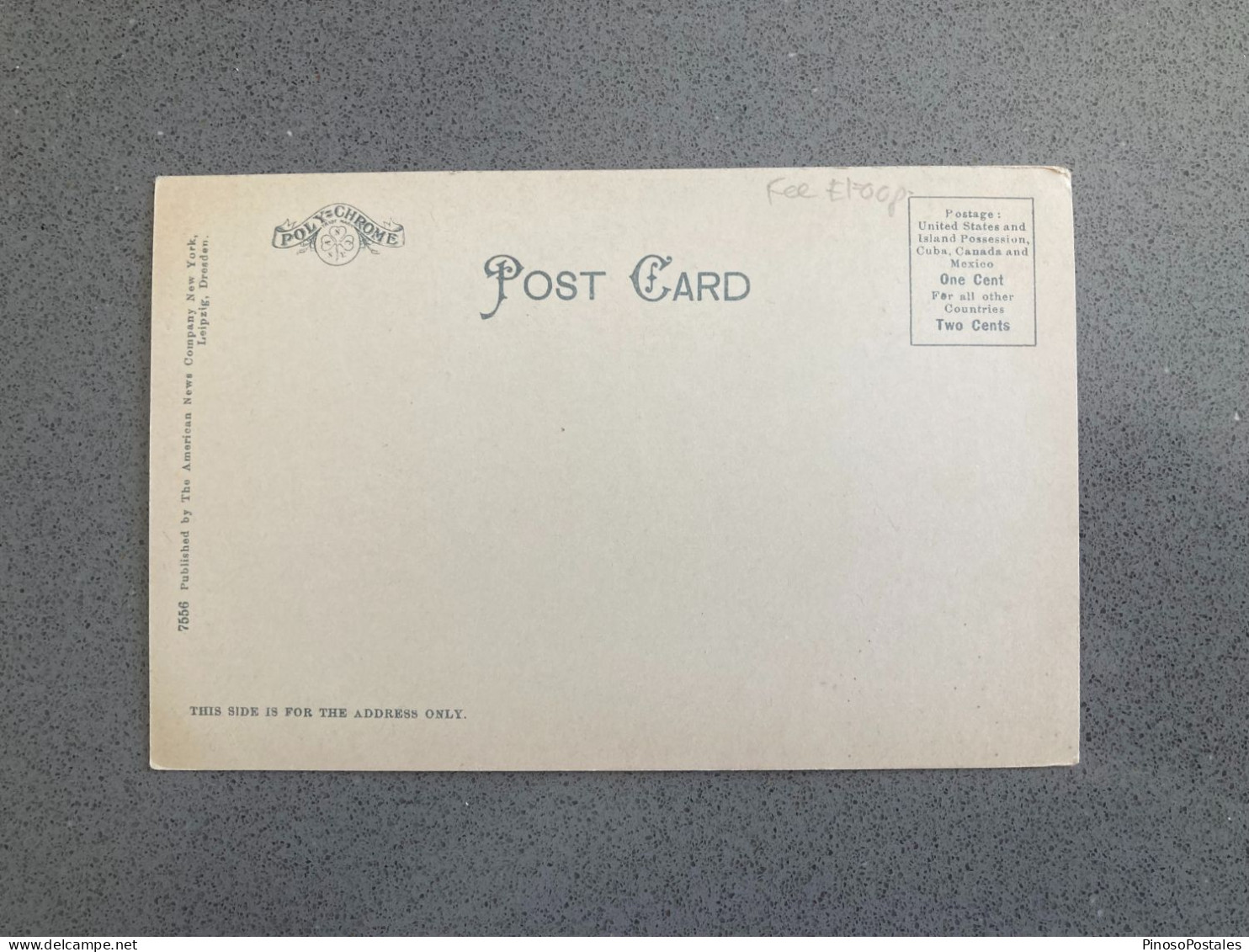 Hudson River, Fishkill And Mt. Beacon, From Downing Park. Newburgh On Hudson, New York Carte Postale Postcard - Altri & Non Classificati