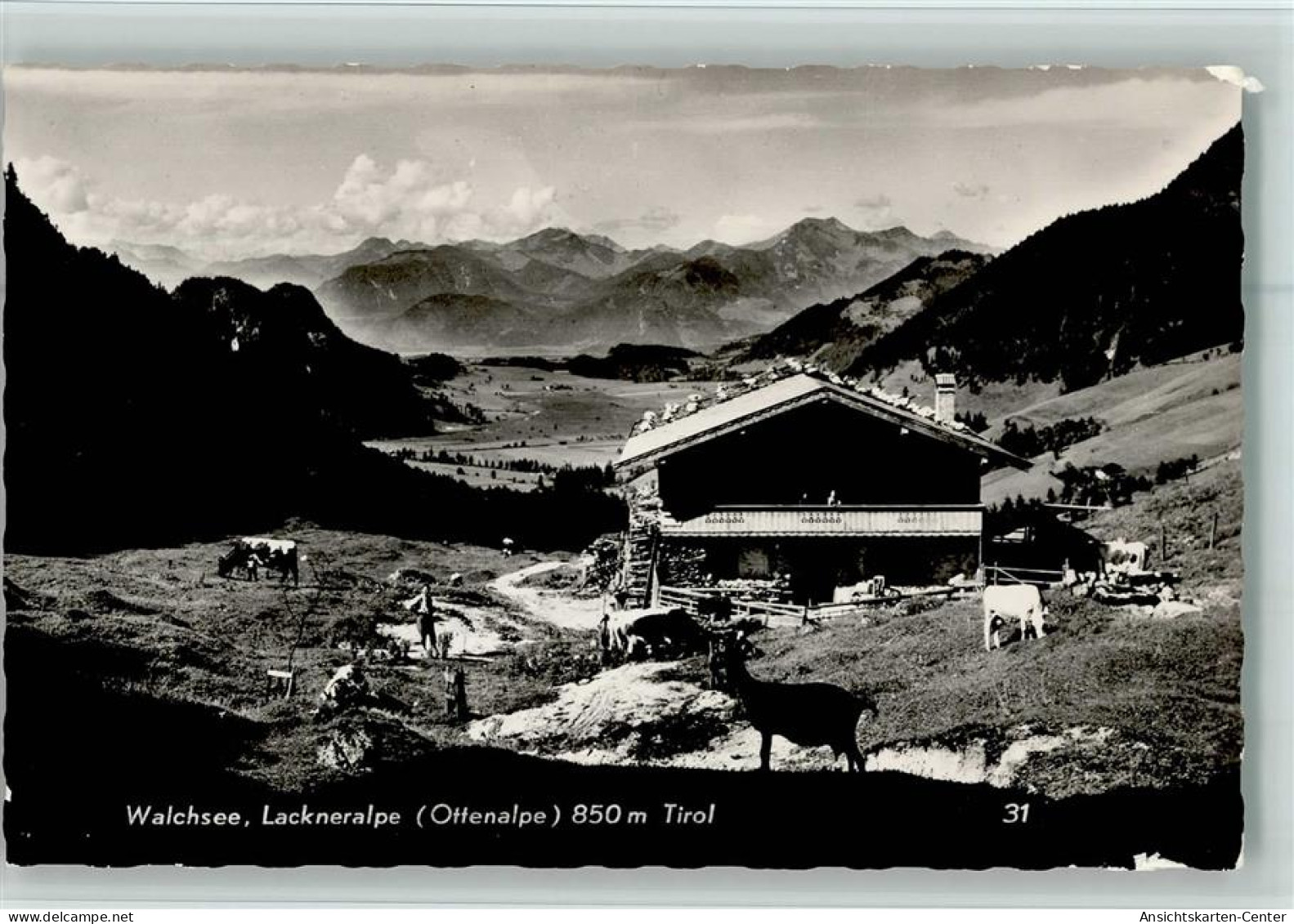 10104211 - Walchsee - Sonstige & Ohne Zuordnung