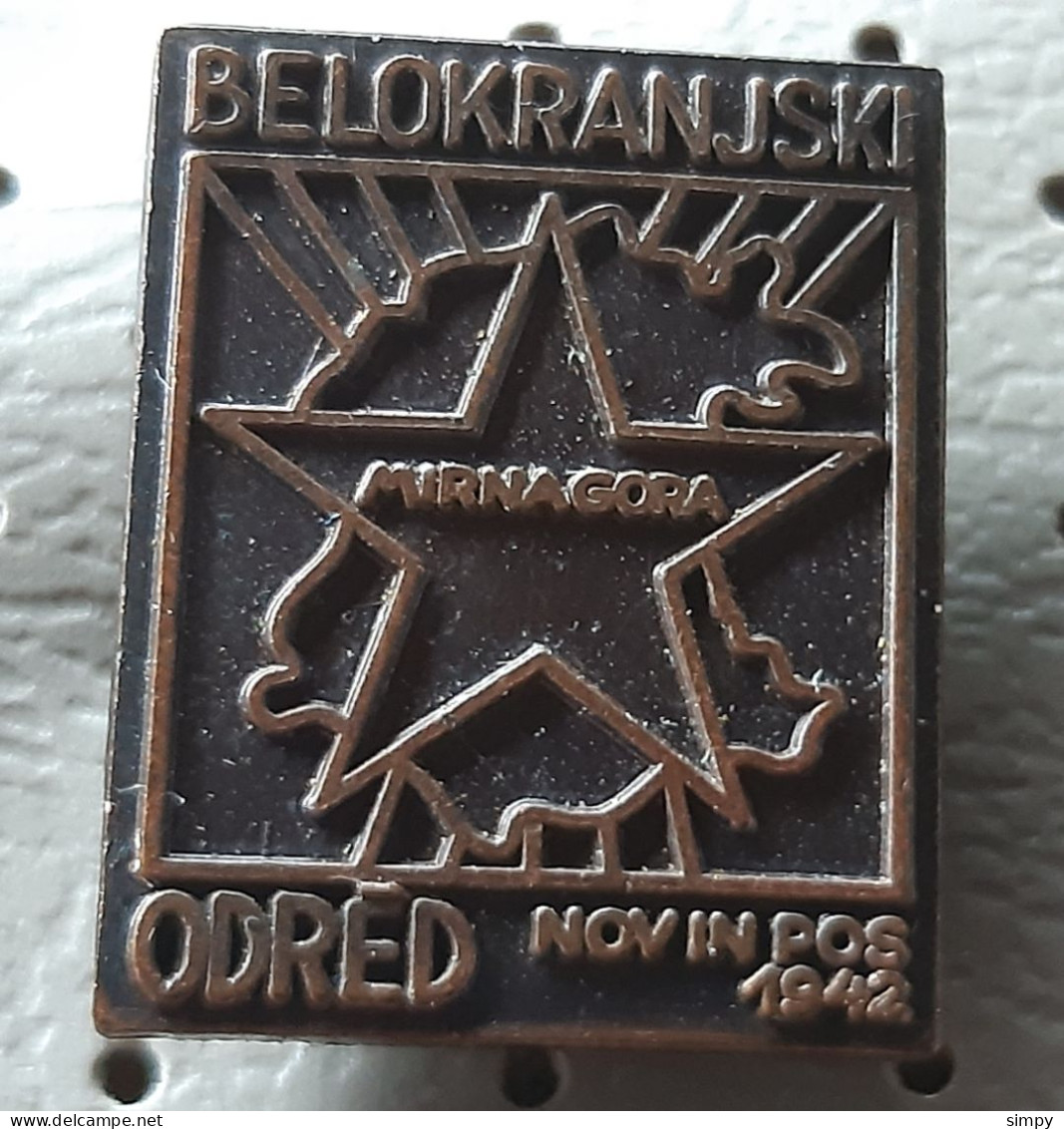 Partisan Detachment Belokranjski Odred 1942 World War II. Slovenia Ex Yugoslavia Pin - Armee