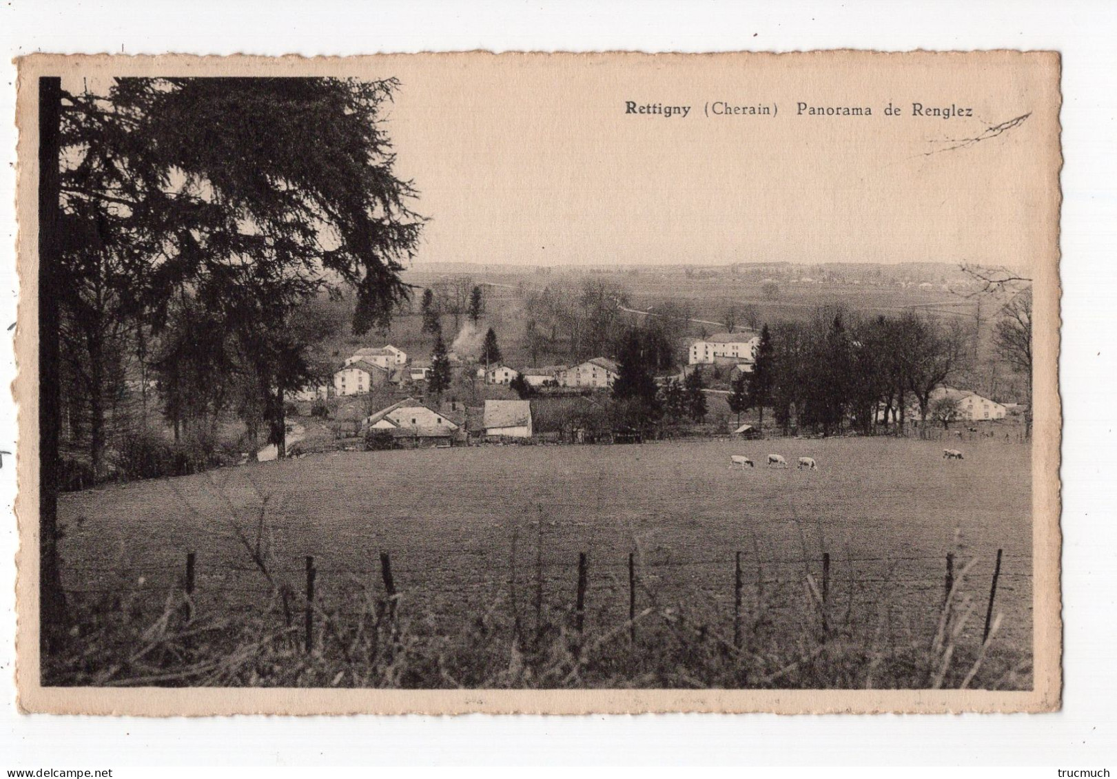 25 - RETTIGNY - (Cherain) - Panorama De RENGLEZ - Gouvy