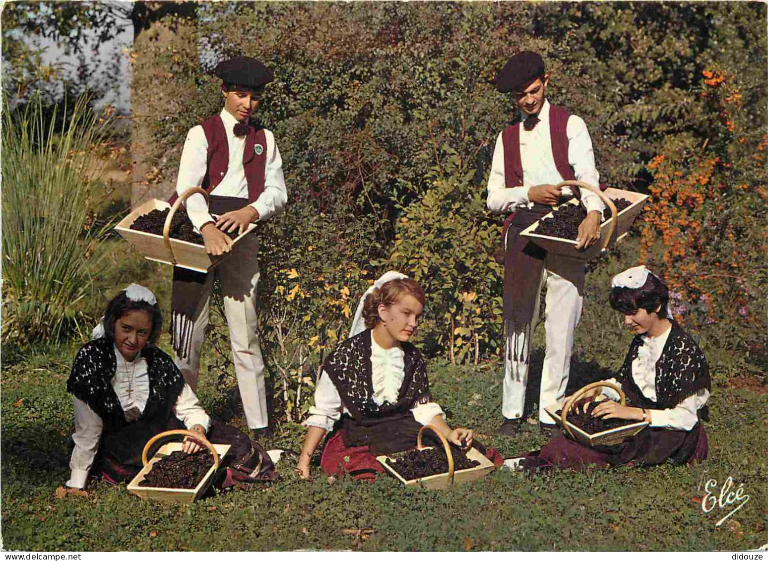 Folklore - Agenais - Groupe Folklorique Lou Foular De Bilonebo - Nos Danseurs Et Danseuses Avec Les Célèbres Pruneaux D' - Costumes