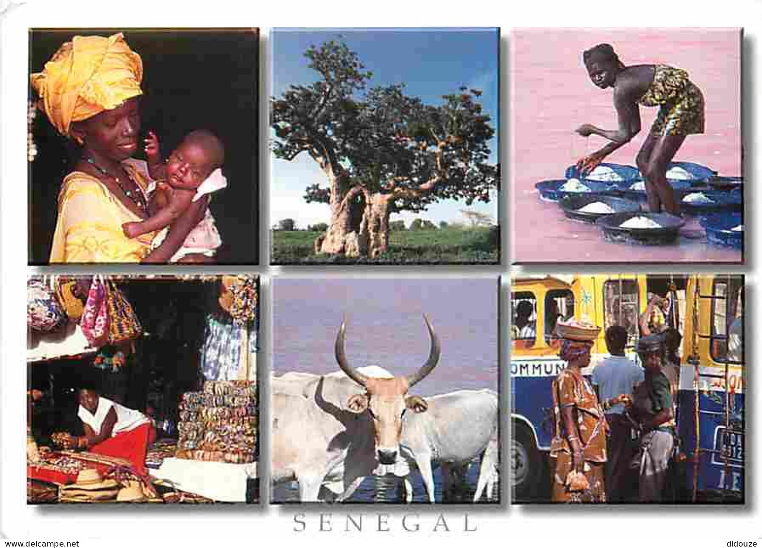 Sénégal - Mosaique Sénégalaise - Multivues - CPM - Voir Scans Recto-Verso - Senegal
