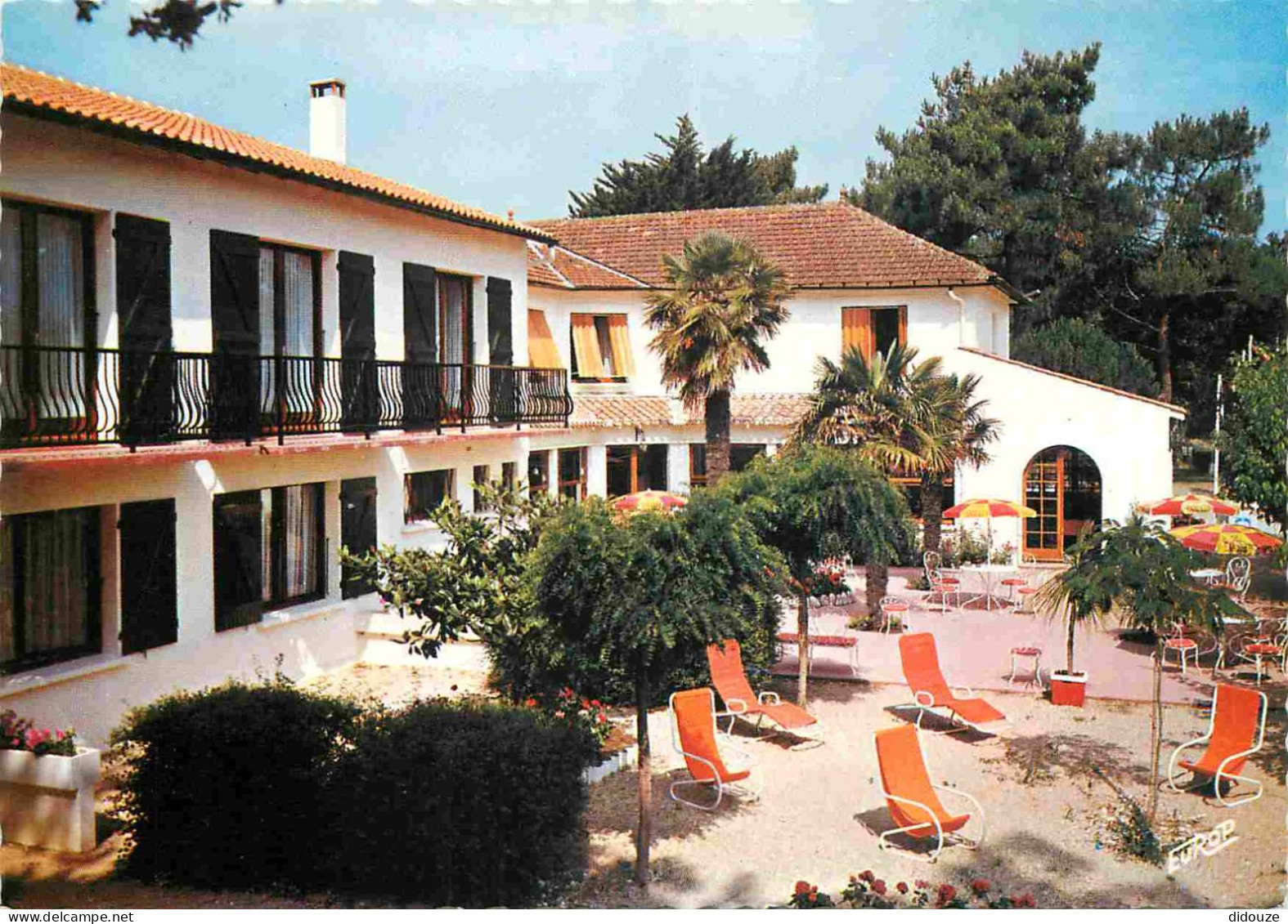 17 - Ile D'Oléron - Vert Bois - Hotel Les Pins - Carte Dentelée - CPSM Grand Format - Voir Scans Recto-Verso - Ile D'Oléron