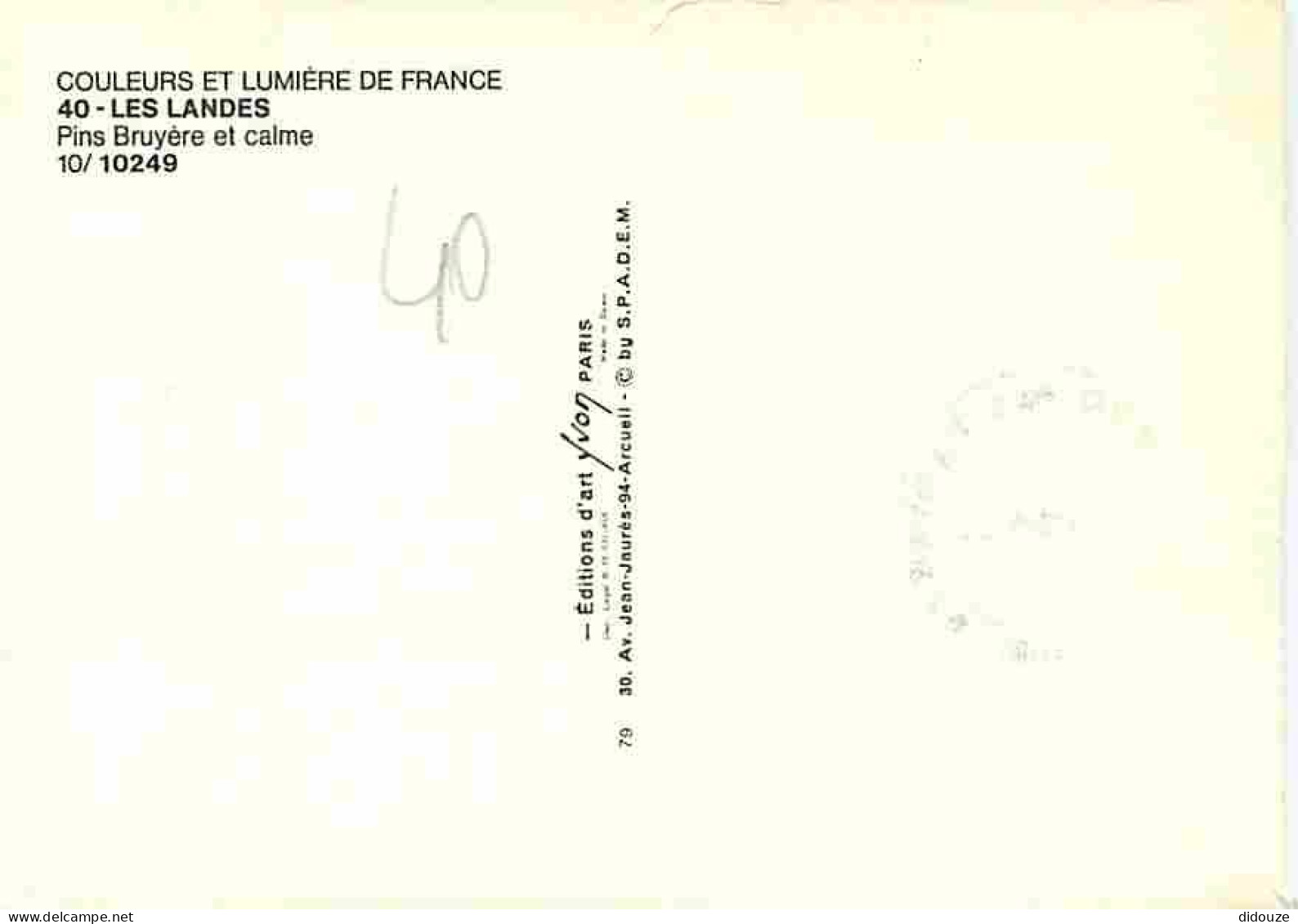 40 - Landes - Foret Landaise - Pins Bruyère Et Calme - CPM - Voir Scans Recto-Verso - Sonstige & Ohne Zuordnung
