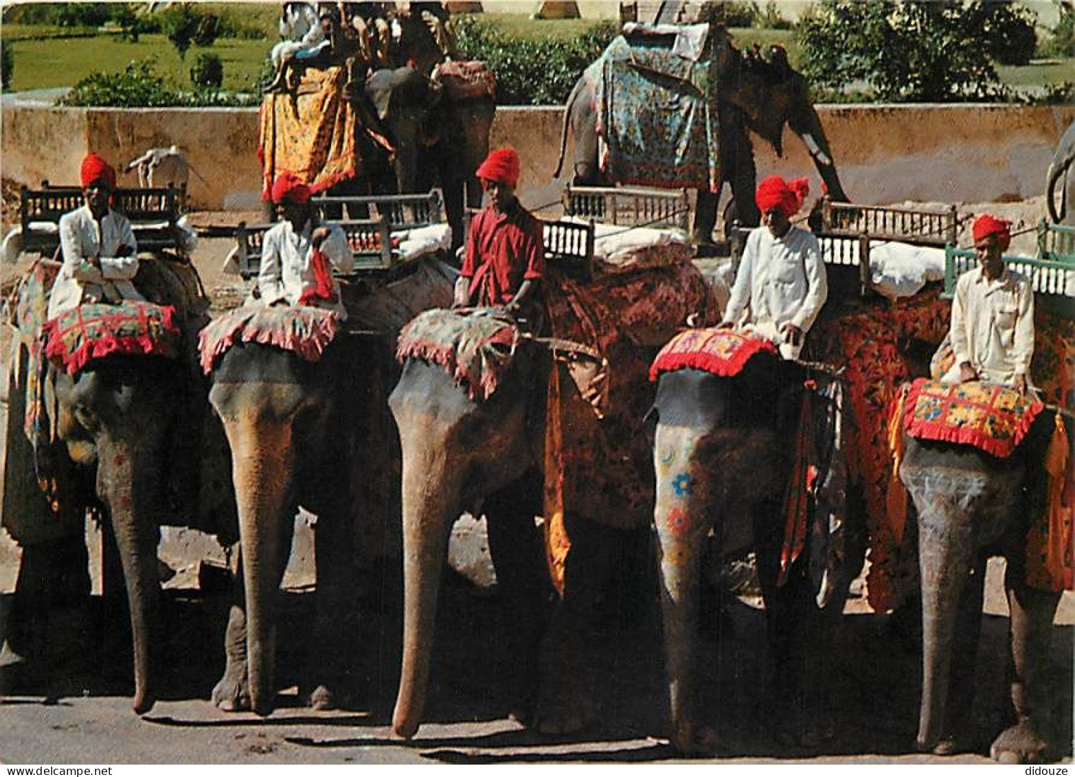 Animaux - Eléphants - Inde - India - Eléphant Taxis , Jaipur , Rajasthan - CPM - Voir Scans Recto-Verso - Elefanten