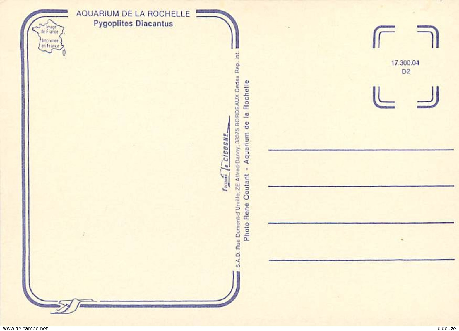 Animaux - Poissons - Aquarium De La Rochelle - Pygoplltes Diacantus - Carte Neuve - CPM - Voir Scans Recto-Verso - Fische Und Schaltiere