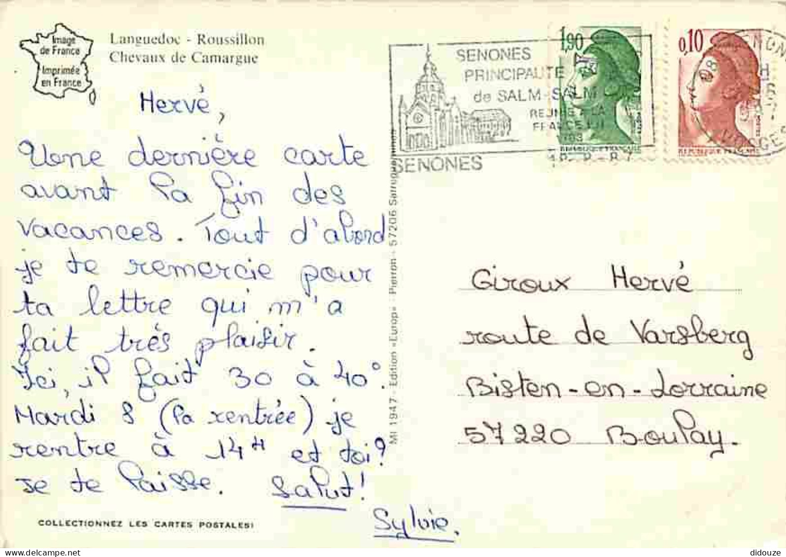 Animaux - Chevaux - Camargue - Chevaux Camarguais - Flamme Postale - Voir Scans Recto Verso  - Horses