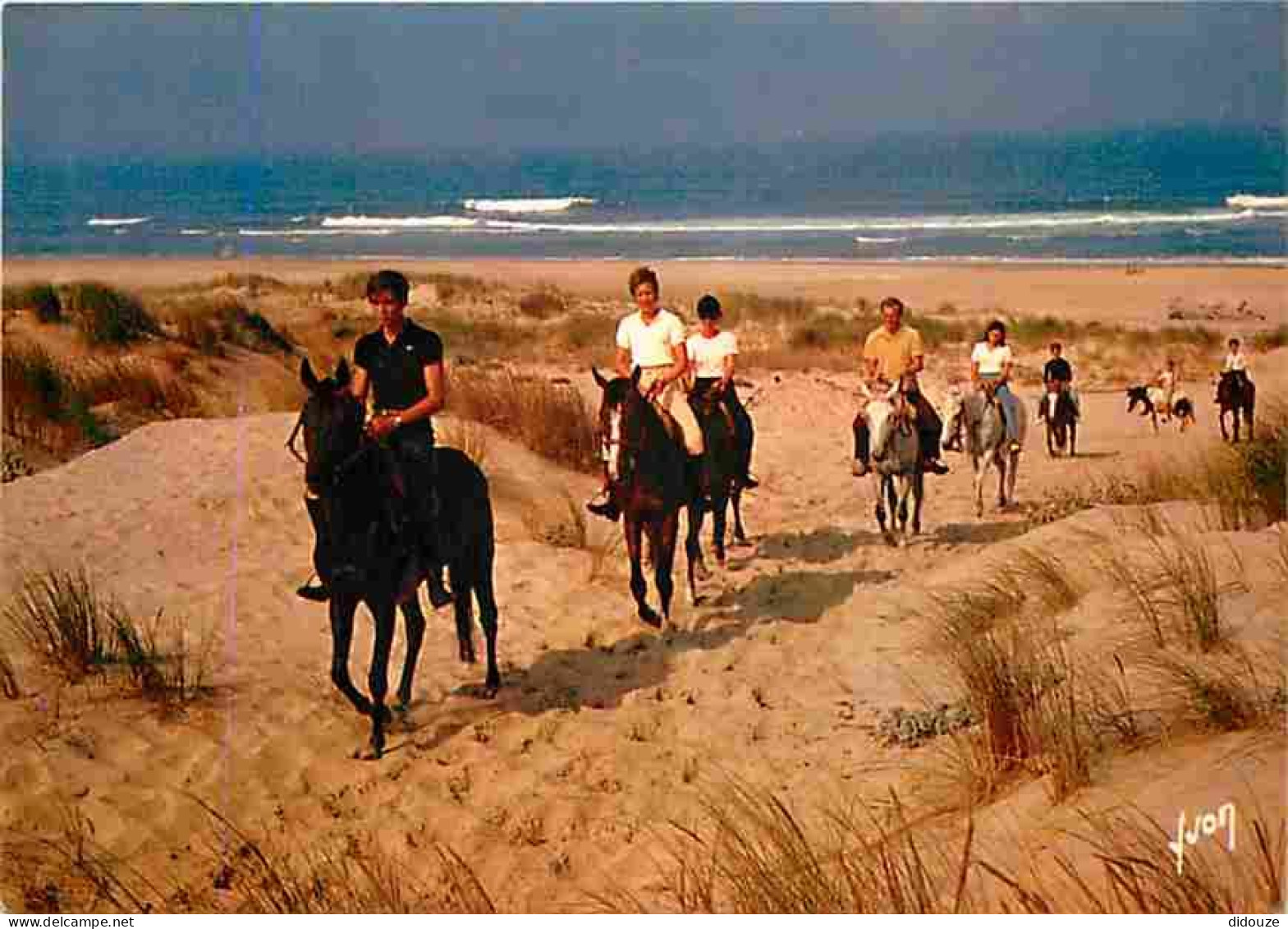 Animaux - Chevaux - Les Cavaliers Dans Les Dunes - CPM - Voir Scans Recto-Verso - Horses