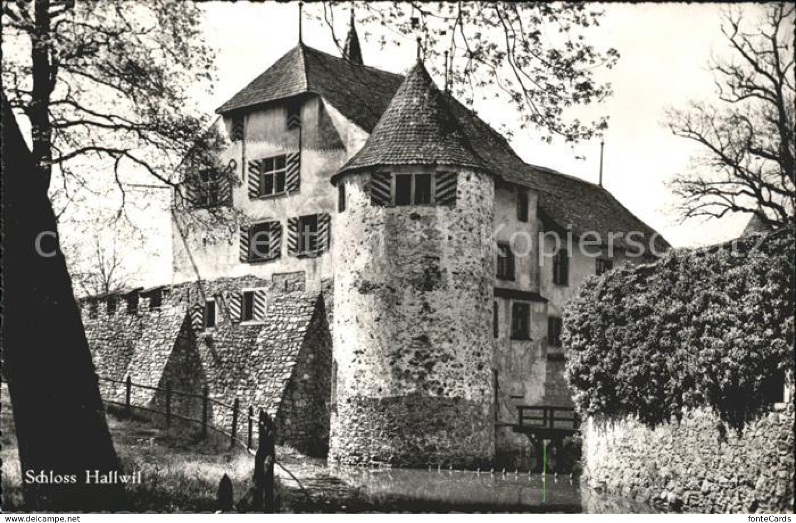 11757437 Hallwil Schloss Hallwil Hallwil - Other & Unclassified