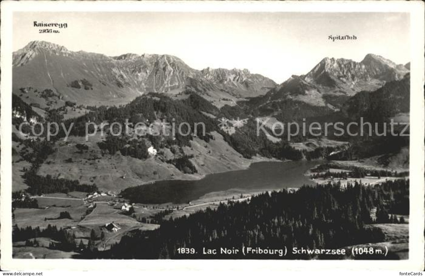 11757386 Lac Noir Schwarzsee FR Mit Kaiseregg Und Spitzfluh Fribourg - Sonstige & Ohne Zuordnung