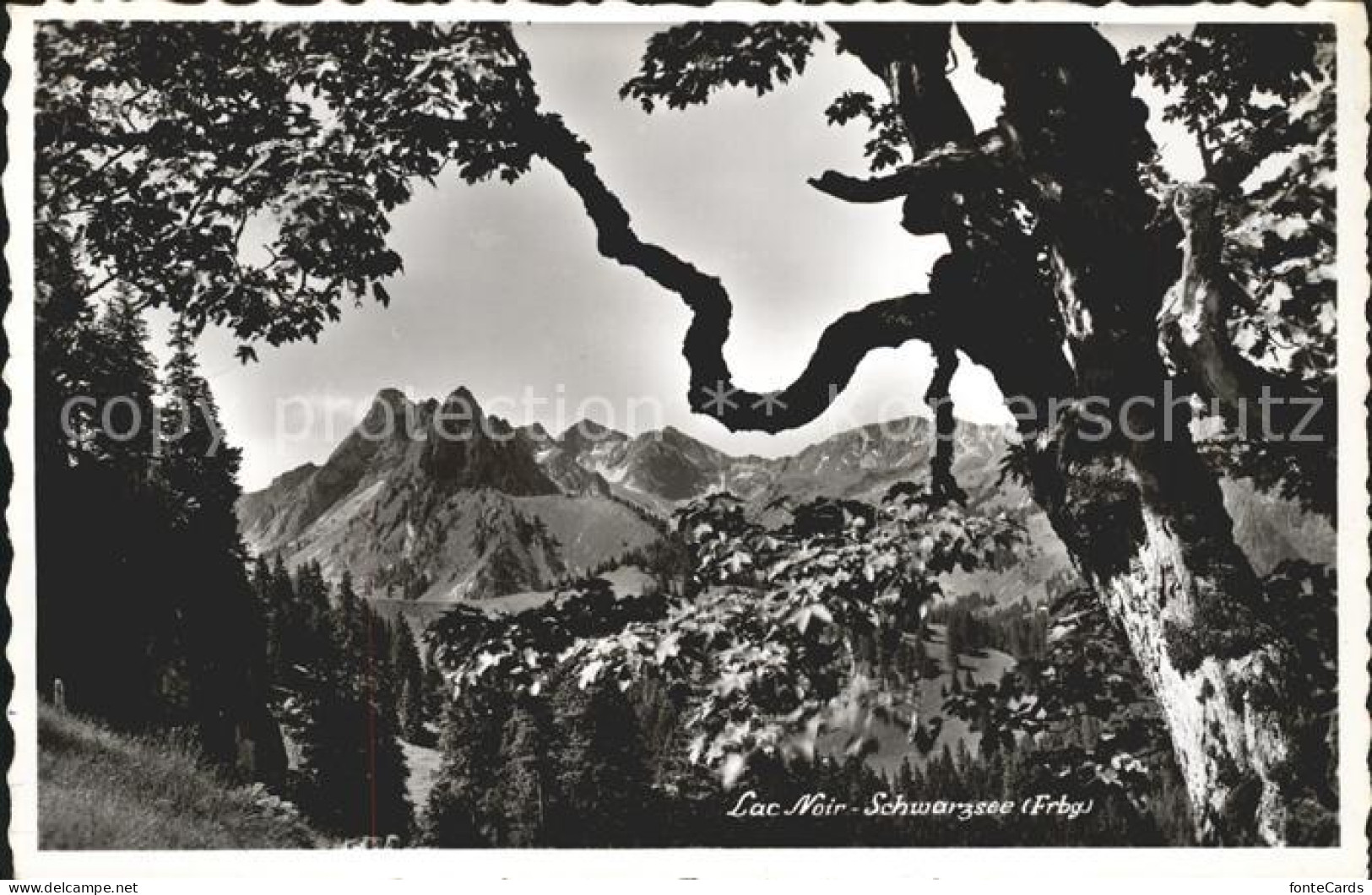 11757107 Lac Noir Schwarzsee FR Panorama Fribourg - Sonstige & Ohne Zuordnung