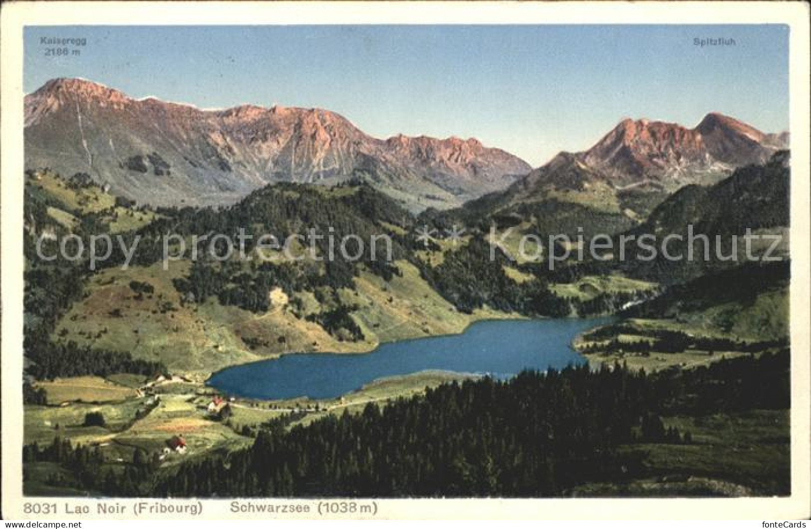 11756047 Lac Noir Schwarzsee FR Panorama Fribourg - Other & Unclassified