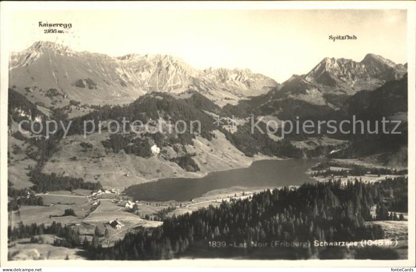 11756026 Lac Noir Schwarzsee FR Mit Kaiseregg Und Spitzfluh Fribourg - Other & Unclassified