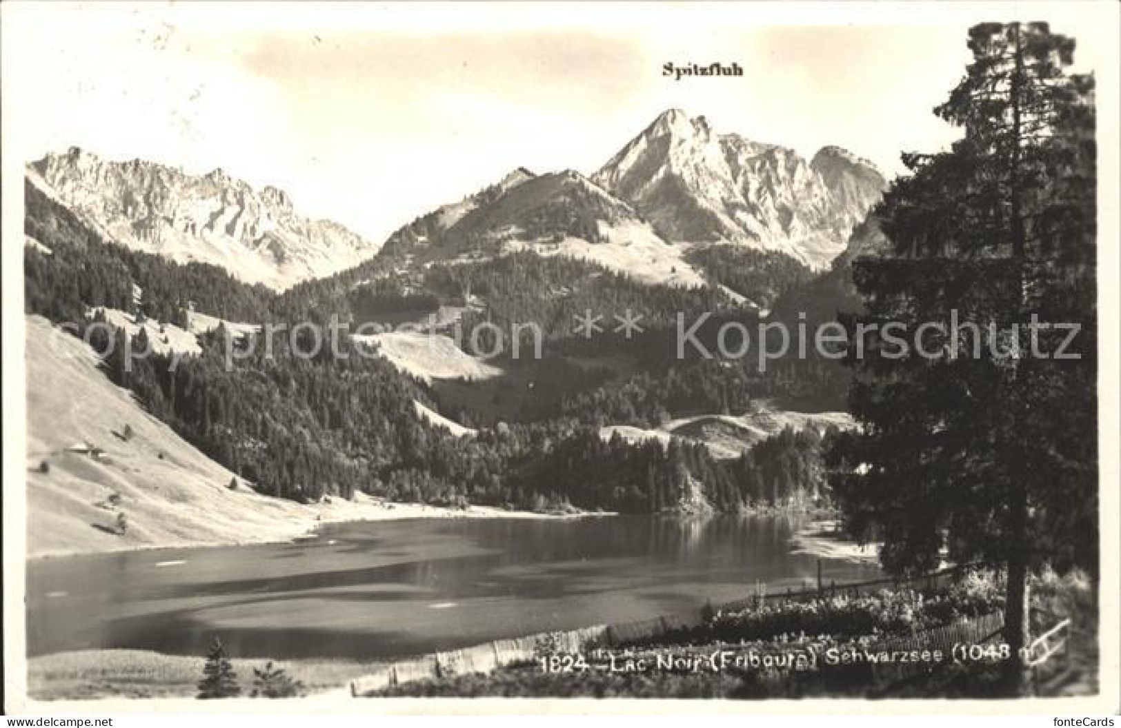 11755877 Lac Noir FR Mit Spitzfluh Fribourg - Andere & Zonder Classificatie