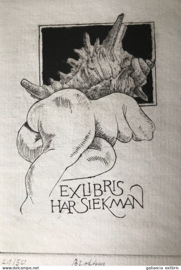 Ex-libris Henk Blokhuis. Coquille Conque Femme Nu. Exlibris Henk Blokhuis. Shell Conch Woman Nude - Ex Libris