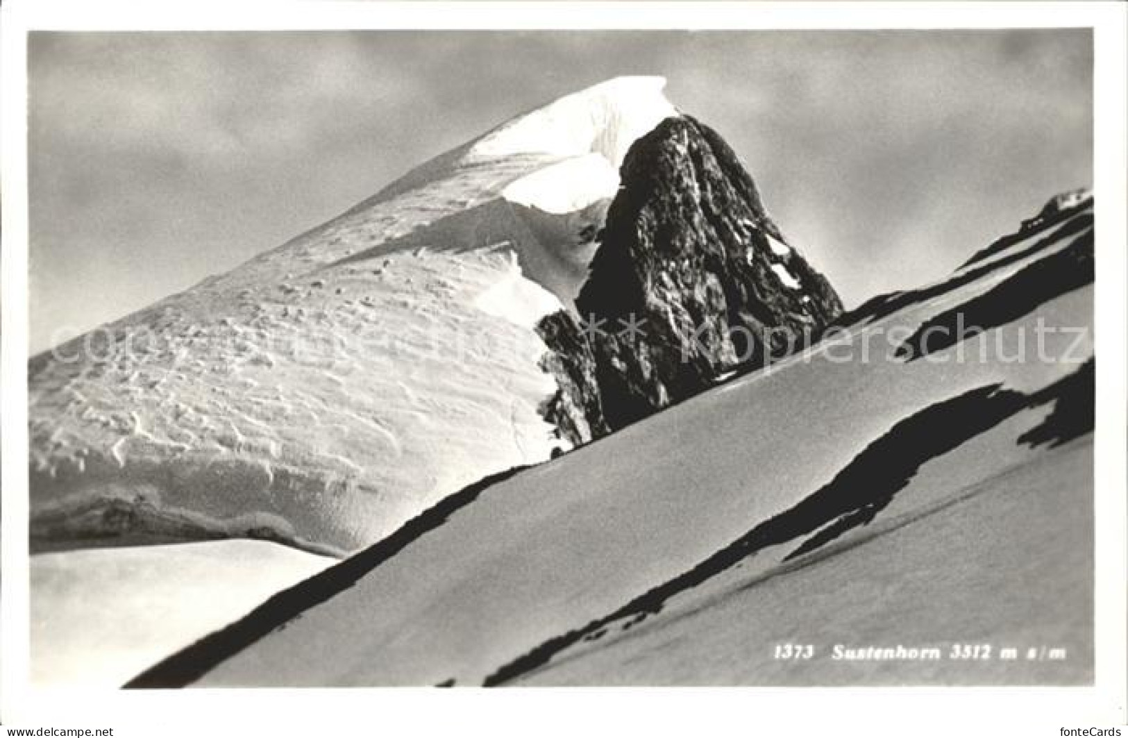 11754536 Sustenhorn Gipfel Sustenhorn - Autres & Non Classés