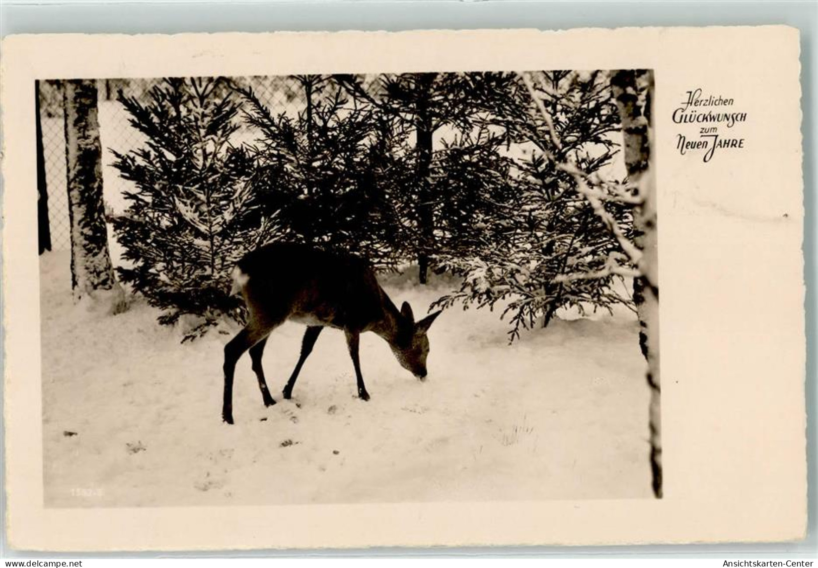 39178911 - Winter Reh Beim Aesen Jagdtiere  Photochemie AK - Nouvel An