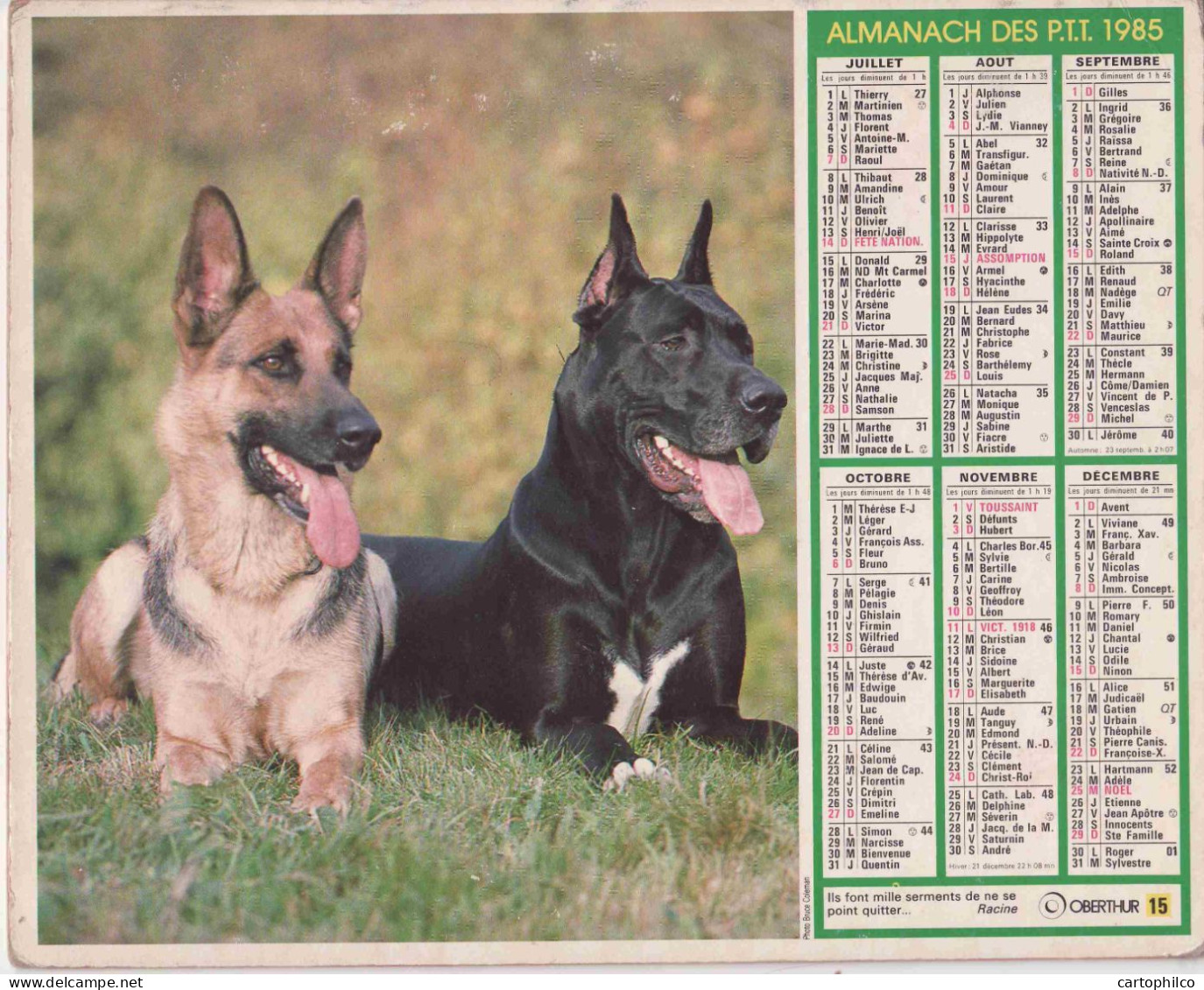 Calendrier France 1985 Cheval Chiens Berge Allemand - Grossformat : 1981-90