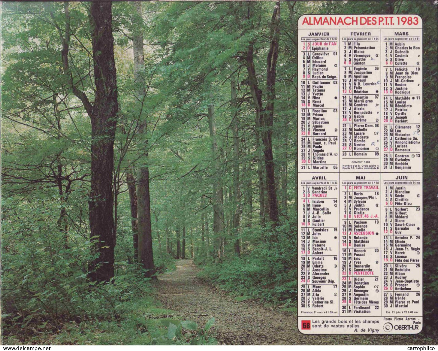 Calendrier France 1983 Cerf Solitaire Grands Bois - Big : 1981-90