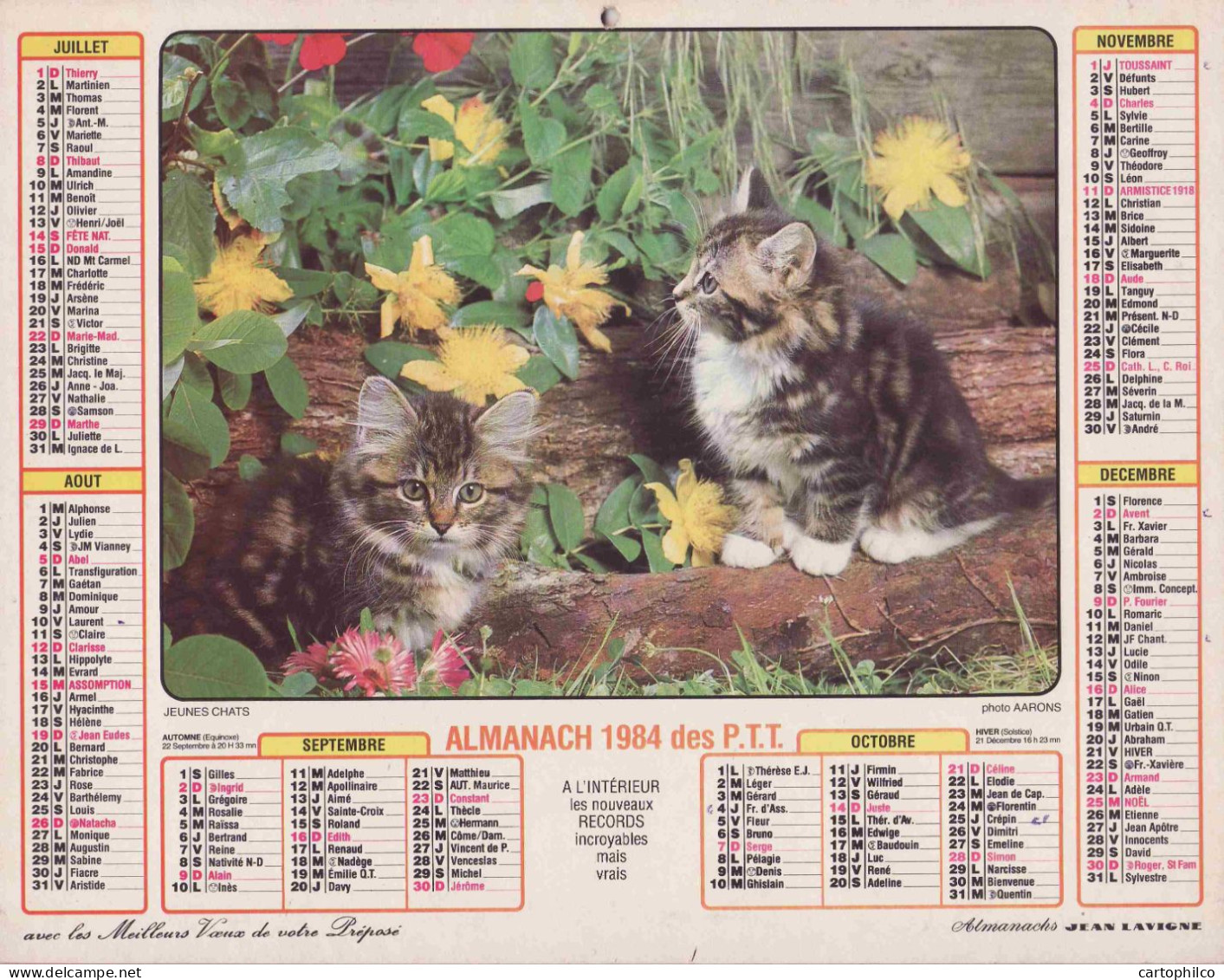 Calendrier France 1984 Jeune Chien Jeunes Chats - Grand Format : 1981-90