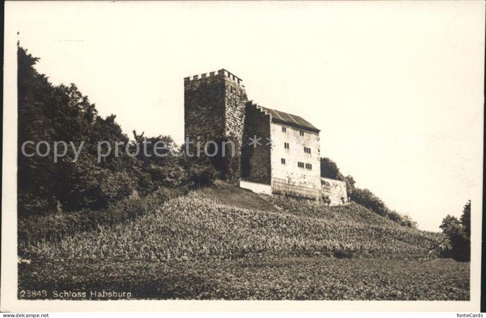 11745397 Habsburg Schloss Habsburg Habsburg - Other & Unclassified