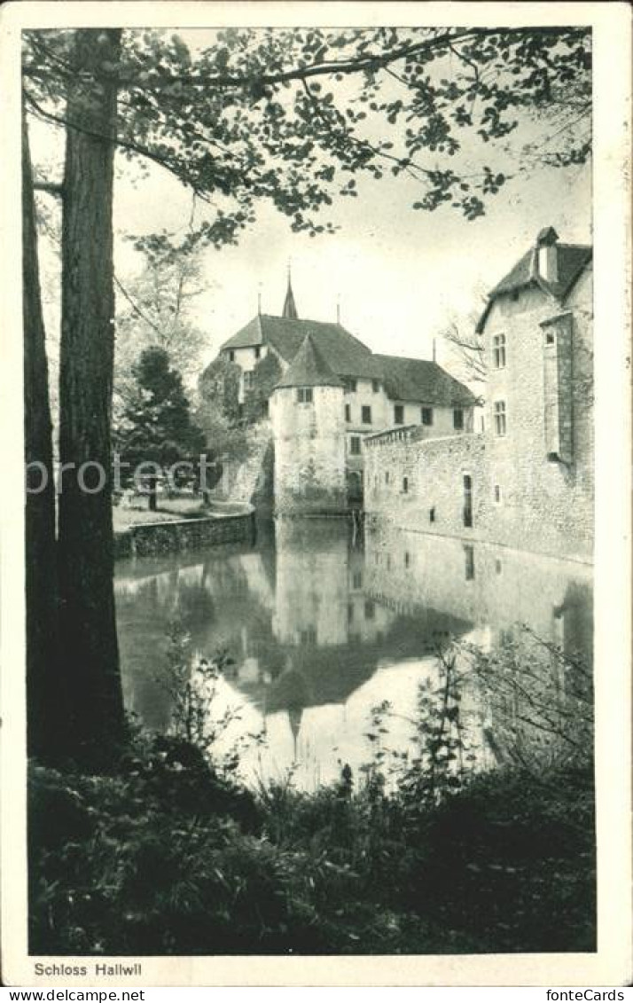 11745376 Hallwil Schloss Hallwil Hallwil - Other & Unclassified