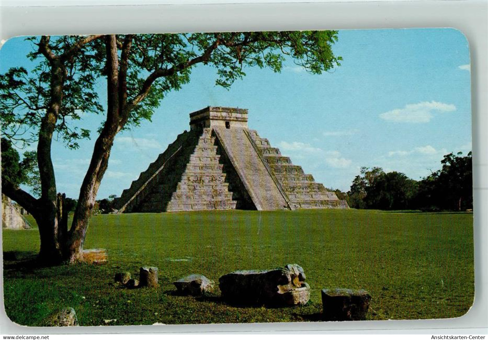 10372611 - Yucatan - Mexique