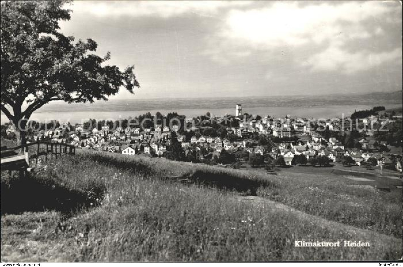 11742357 Heiden AR Panorama Heiden - Sonstige & Ohne Zuordnung