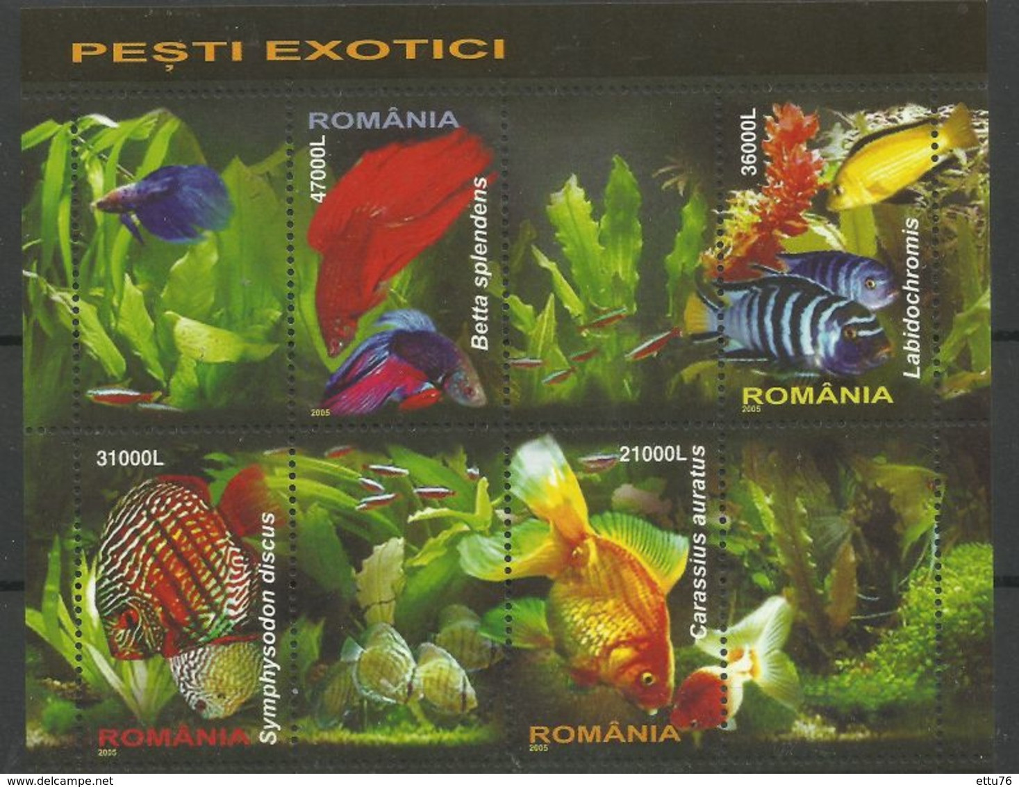 Romania  2005  Exotic  Fish Sheet  MNH - Poissons