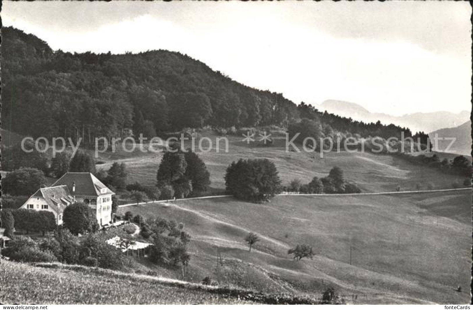 11738896 Laeufelfingen Ramsach  Laeufelfingen - Sonstige & Ohne Zuordnung